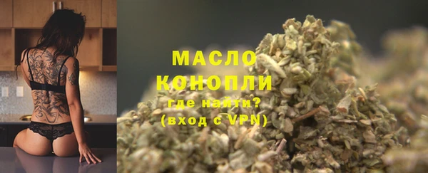 молекула духа Богородицк