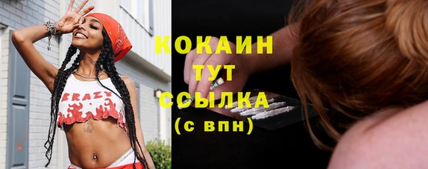 молекула духа Богородицк