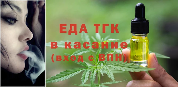 молекула духа Богородицк