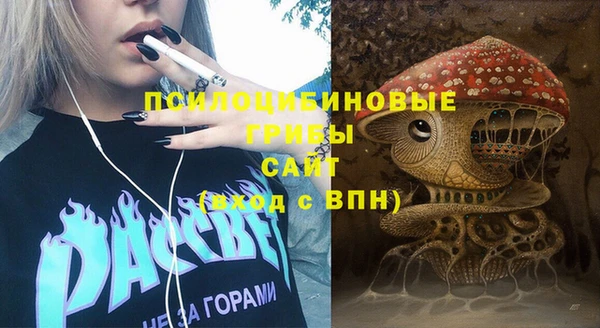 прущая мука Богородск