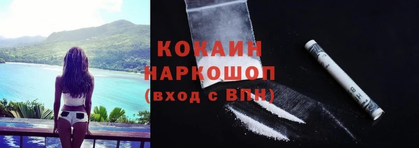 молекула духа Богородицк