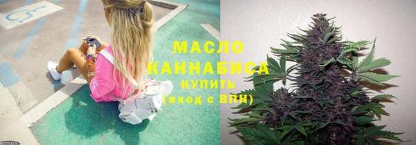 молекула духа Богородицк