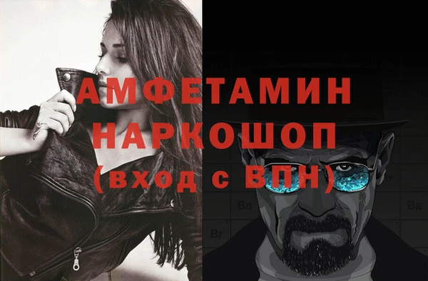 молекула духа Богородицк